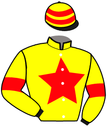 casaque portée par Raffestin J. jockey du cheval de course LA PERLA DE LOU, information pmu ZETURF