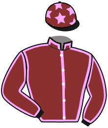 casaque portée par Tintillier A. jockey du cheval de course LASCAR DE YOR, information pmu ZETURF