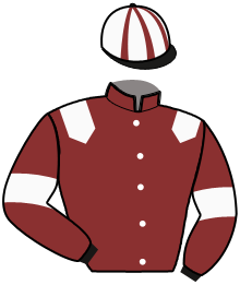 casaque portée par Callier P. jockey du cheval de course KRYSTALE MARCEAUX, information pmu ZETURF