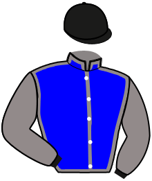 casaque portée par Machet Que. jockey du cheval de course JAKADI DE VAUVILLE, information pmu ZETURF