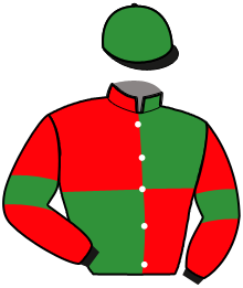 casaque portée par Salmon Est. jockey du cheval de course JAFAR DE FAEL, information pmu ZETURF