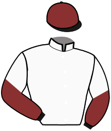 casaque portée par Clozier F. jockey du cheval de course KISS BOY, information pmu ZETURF