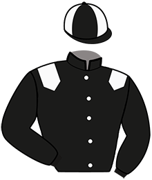 casaque portée par Yvon M. jockey du cheval de course KIANNICK OF NOUIC, information pmu ZETURF
