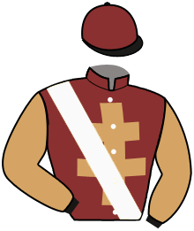 casaque portée par Meury G. jockey du cheval de course ANDANTINI, information pmu ZETURF