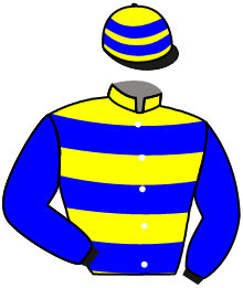 casaque portée par Demuro C. jockey du cheval de course USER KINDLY, information pmu ZETURF
