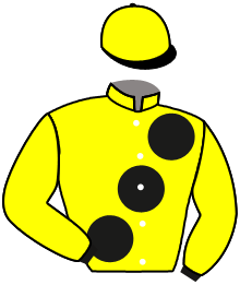 casaque portée par Mendizabal I. jockey du cheval de course LA MAZZI GOGO, information pmu ZETURF