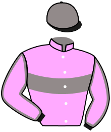 casaque portée par Meury G. jockey du cheval de course ISLAND FANTASY, information pmu ZETURF