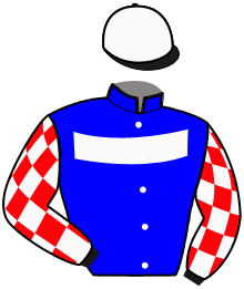casaque portée par Rothengatter Mic. F. jockey du cheval de course KEVIN PRINCE, information pmu ZETURF