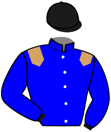 casaque portée par Mottier M. jockey du cheval de course KERRY LOVE, information pmu ZETURF