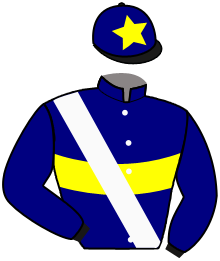 casaque portée par Piccone T. jockey du cheval de course SIGTUNA, information pmu ZETURF