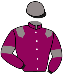 casaque portée par Barzalona M. jockey du cheval de course PENNY DE CERISY, information pmu ZETURF