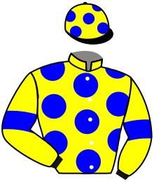 casaque portée par Werle A. jockey du cheval de course GYP SEA, information pmu ZETURF
