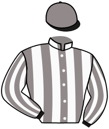 casaque portée par Guedj-gay G. jockey du cheval de course SANDON, information pmu ZETURF
