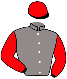 casaque portée par Dubord Rom. jockey du cheval de course MOON OF THE NIGHT, information pmu ZETURF