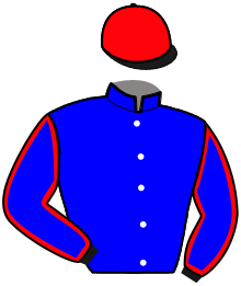 casaque portée par Nivard F. jockey du cheval de course KARLOS NAY, information pmu ZETURF