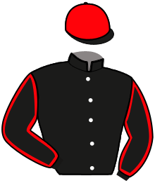 casaque portée par Gelormini G. jockey du cheval de course CHARMY CHARLY AS, information pmu ZETURF