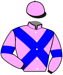 casaque portée par Lebey B. jockey du cheval de course J'ADORE CHENEVIERE, information pmu ZETURF