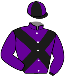 casaque portée par Daulier A. jockey du cheval de course HIVAOA DES BROUETS, information pmu ZETURF