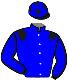 casaque portée par Clin Ch. jockey du cheval de course LOU DE LOSQUE, information pmu ZETURF