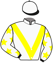 casaque portée par Lemaitre A. jockey du cheval de course TIGRESS OF GAUL, information pmu ZETURF