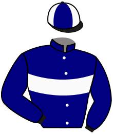 casaque portée par Guyon M. jockey du cheval de course HOW DARE YOU, information pmu ZETURF