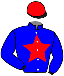 casaque portée par Lamy A. jockey du cheval de course KREAT DE TOUCHYVON, information pmu ZETURF