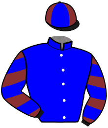 casaque portée par Ernault S. jockey du cheval de course KING PRESTIGE, information pmu ZETURF