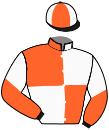 casaque portée par Thomain D. jockey du cheval de course LUANA SPORT, information pmu ZETURF