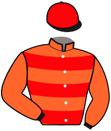 casaque portée par Fraigne Mlle I. jockey du cheval de course JENGA D'HARVA, information pmu ZETURF