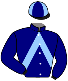casaque portée par Geray P. jockey du cheval de course HERMES DE GIRONDE, information pmu ZETURF