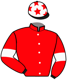 casaque portée par Sebaoun Mar. A. jockey du cheval de course HAWAKS DU VIVIER, information pmu ZETURF