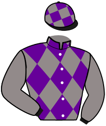 casaque portée par Huguet J. jockey du cheval de course MERLIN FAMILY, information pmu ZETURF