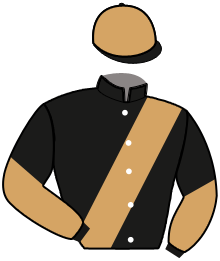 casaque portée par Lerenard A. jockey du cheval de course MONTOYA, information pmu ZETURF