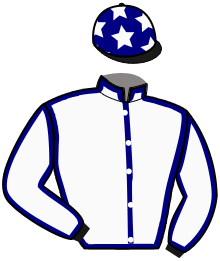 casaque portée par Garcia L. jockey du cheval de course MICHIGAN HAWK, information pmu ZETURF