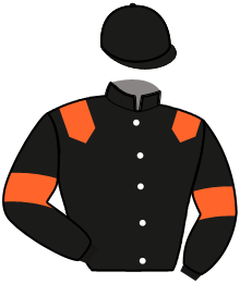 casaque portée par Raffin E. jockey du cheval de course KILLER CRUZ, information pmu ZETURF