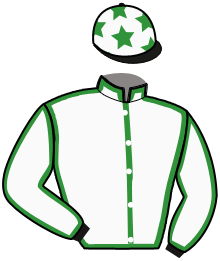 casaque portée par Ducher J. Ph. jockey du cheval de course LUPIN D'ETE, information pmu ZETURF