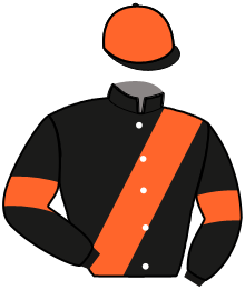 casaque portée par Durantet L. jockey du cheval de course JIVA DU DOUET, information pmu ZETURF