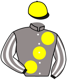 casaque portée par Chevillard T. jockey du cheval de course BANDANAS, information pmu ZETURF