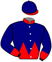 casaque portée par Gelhay B. jockey du cheval de course GREY FIGHTER, information pmu ZETURF
