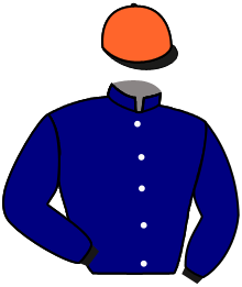 casaque portée par Zuliani A. jockey du cheval de course ELEKTRIX, information pmu ZETURF