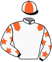casaque portée par Charron J. jockey du cheval de course MOLLY DE BURGE, information pmu ZETURF