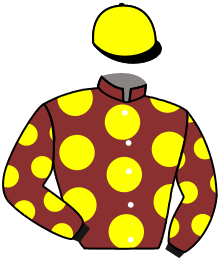 casaque portée par Chesneau A. jockey du cheval de course CARGO DE NUIT, information pmu ZETURF