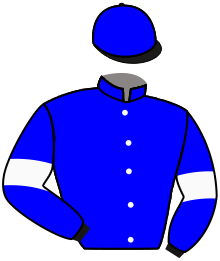 casaque portée par Dubourg P. jockey du cheval de course LOWRY, information pmu ZETURF