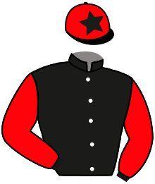 casaque portée par Andrieux T. jockey du cheval de course LA GRANDE MALICE, information pmu ZETURF