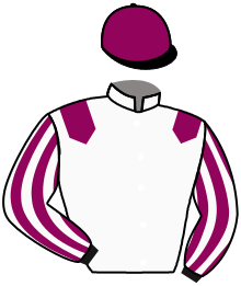 casaque portée par Chesneau A. jockey du cheval de course LYNX DES GENIEVRES, information pmu ZETURF