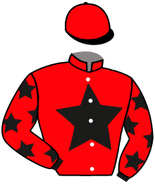 casaque portée par Le Clerc B. jockey du cheval de course LOUBA, information pmu ZETURF