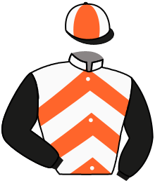 casaque portée par Reveley J. jockey du cheval de course LEGOLAS TEK, information pmu ZETURF