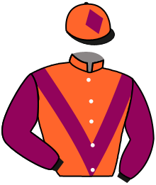 casaque portée par Colson L. jockey du cheval de course JACK AND CO, information pmu ZETURF