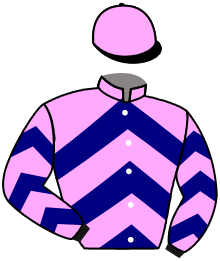 casaque portée par Guilloton Mme J. jockey du cheval de course BONHEUR DU SUD, information pmu ZETURF