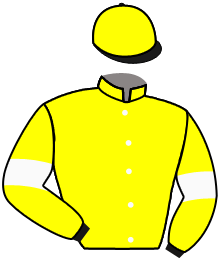casaque portée par Magrex Léo jockey du cheval de course FOU DU BRESIL, information pmu ZETURF